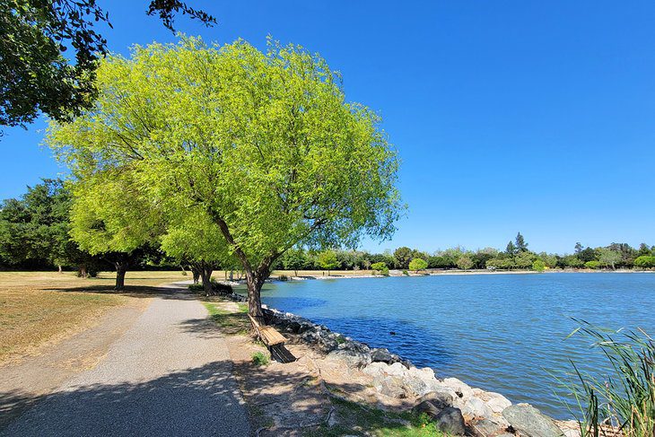 12 Best Parks in San Jose