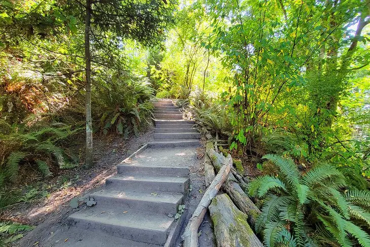 12 Best Parks in Seattle