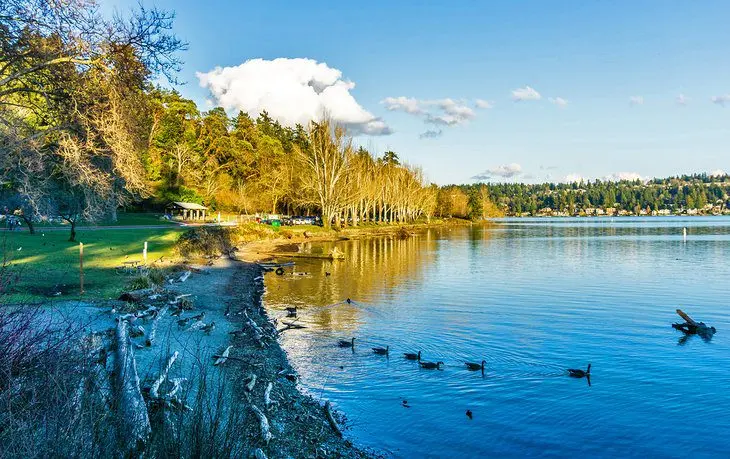 12 Best Parks in Seattle