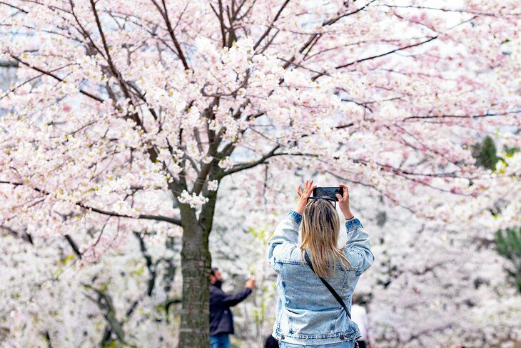 12 Best Parks in Toronto