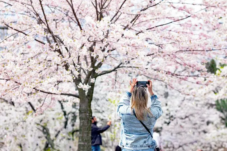 12 Best Parks in Toronto