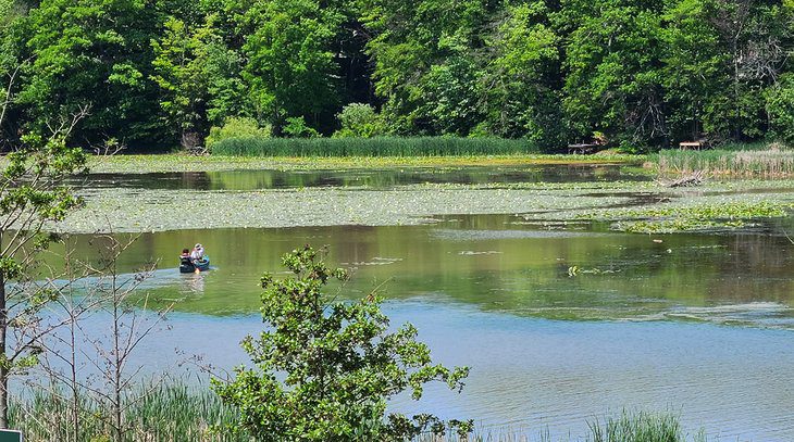 12 Best Parks in Toronto