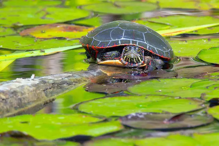 12 Best Parks in Toronto