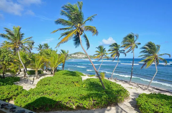 12 Best Resorts in St. Croix