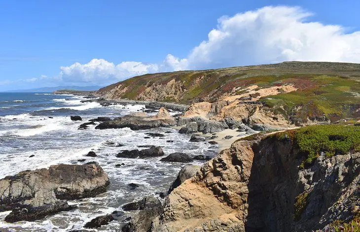 12 Best Things to Do in Bodega Bay, CA