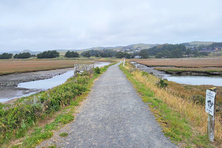 12 Best Things to Do in Bodega Bay, CA