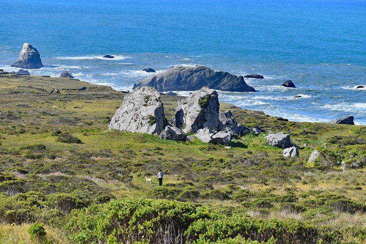 12 Best Things to Do in Bodega Bay, CA