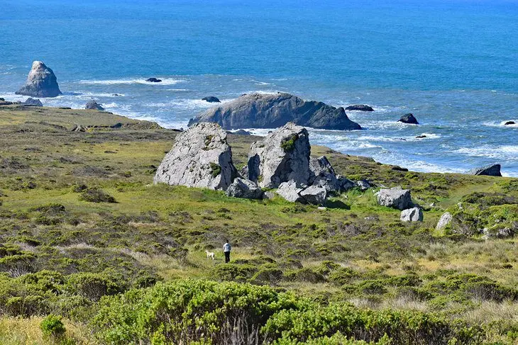 12 Best Things to Do in Bodega Bay, CA