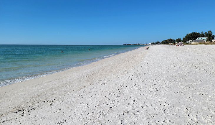 12 Best Things to Do in Bradenton, FL