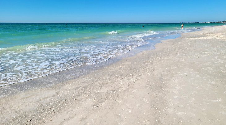 12 Best Things to Do in Bradenton, FL