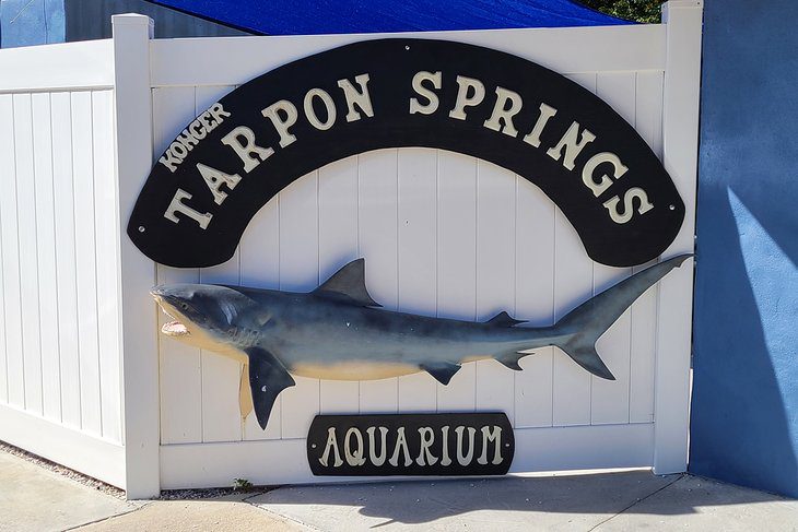 12 Best Things to Do in Tarpon Springs, FL