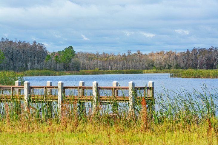 12 Best Things to Do in Winter Haven, FL