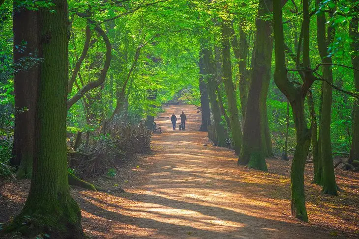 12 Best Walks in London