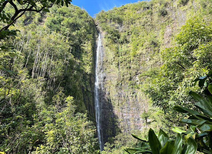 12 Spectacular Hikes on Maui