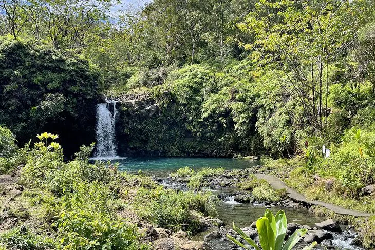 12 Spectacular Hikes on Maui