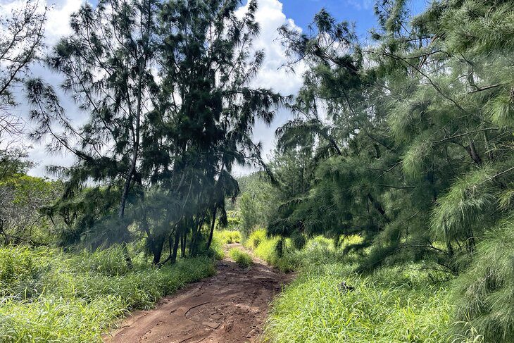 12 Spectacular Hikes on Maui