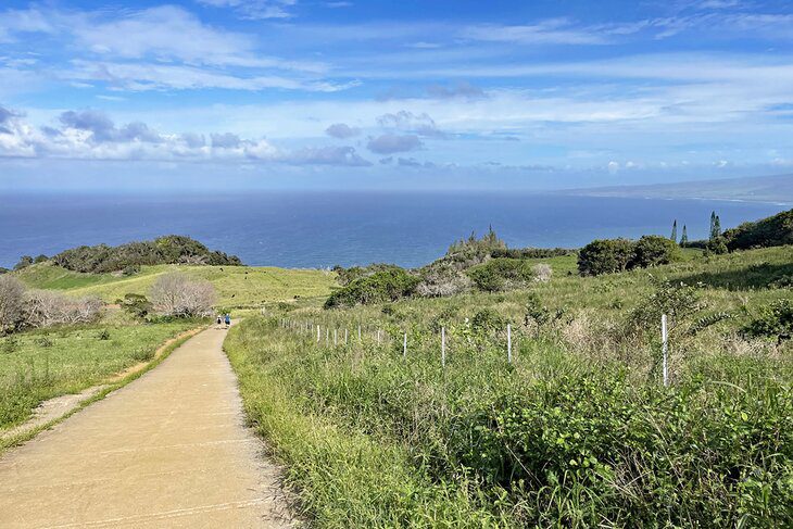 12 Spectacular Hikes on Maui