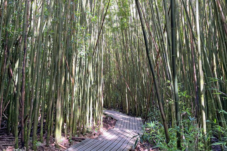 12 Spectacular Hikes on Maui