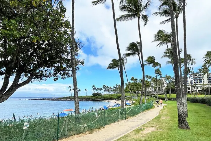 12 Spectacular Hikes on Maui