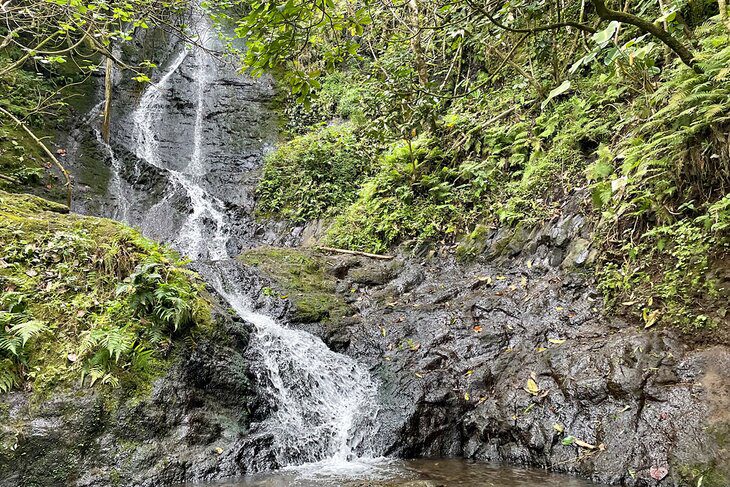 12 Stunning Waterfalls on Oahu