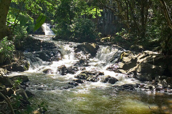 12 Stunning Waterfalls on Oahu