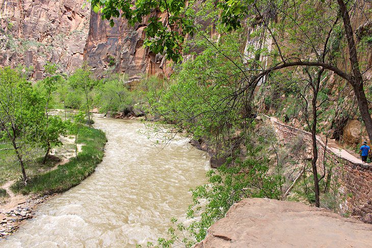 12 Top Attractions & Things to Do in Zion National Park