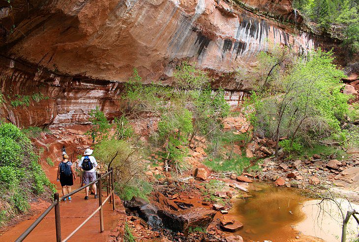 12 Top Attractions & Things to Do in Zion National Park