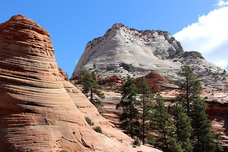 12 Top Attractions & Things to Do in Zion National Park