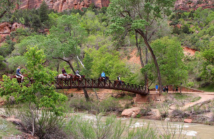 12 Top Attractions & Things to Do in Zion National Park