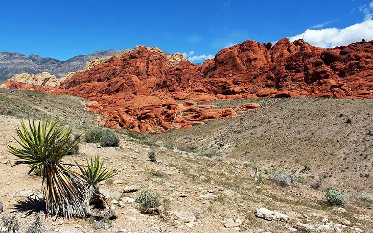 12 Top-Rated Attractions & Places to Visit in Nevada