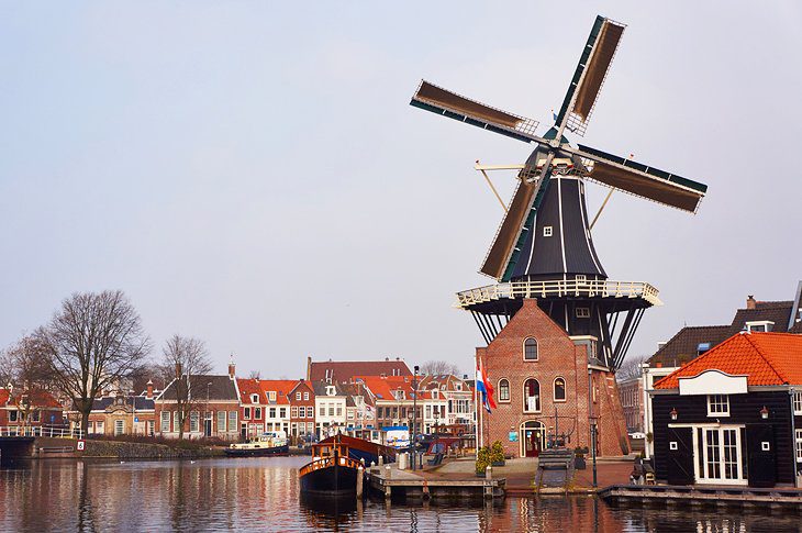 12 Top-Rated Attractions & Things to Do in Haarlem