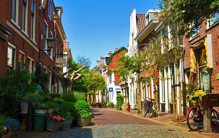 12 Top-Rated Attractions & Things to Do in Haarlem