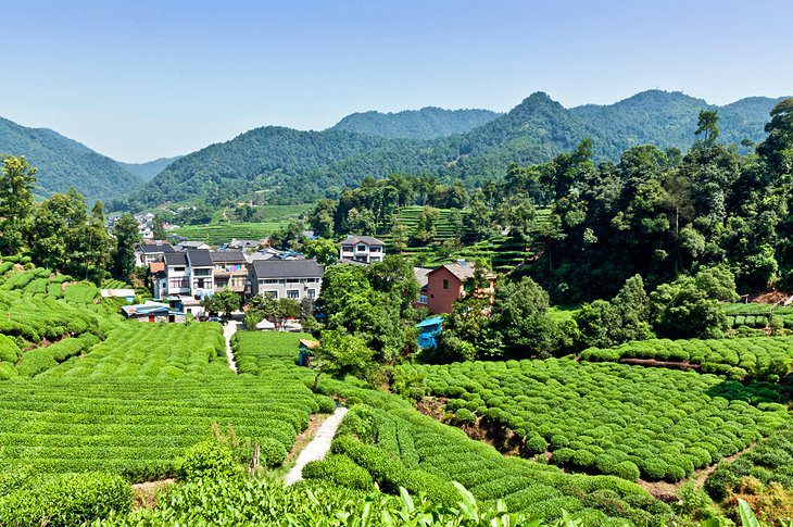 12 Top-Rated Attractions & Things to Do in Hangzhou