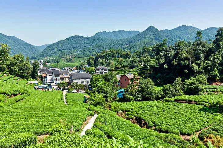 12 Top-Rated Attractions & Things to Do in Hangzhou