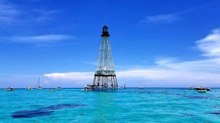 12 Top-Rated Attractions & Things to Do in Islamorada, FL