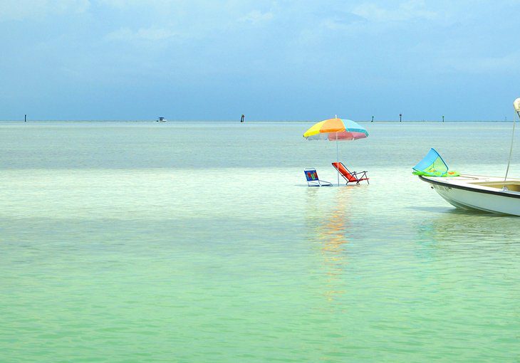 12 Top-Rated Attractions & Things to Do in Islamorada, FL