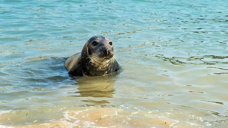 12 Top-Rated Attractions & Things to Do in St Ives, England