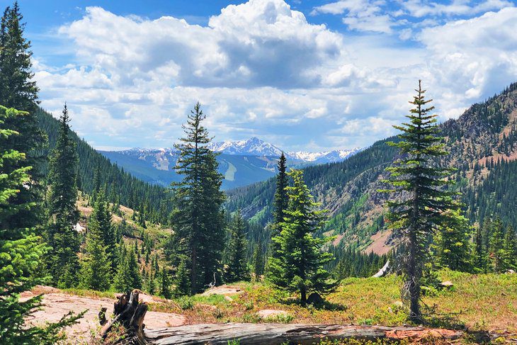 12 Top-Rated Attractions & Things to Do in Vail, CO