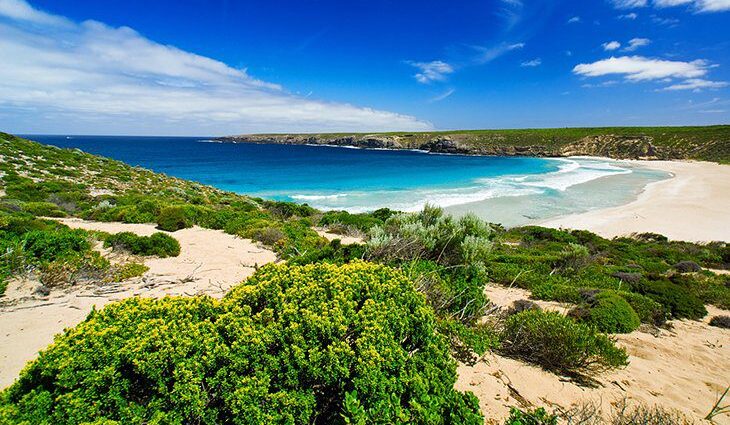 12 Top-Rated Attractions &#038; Things to Do on Kangaroo Island