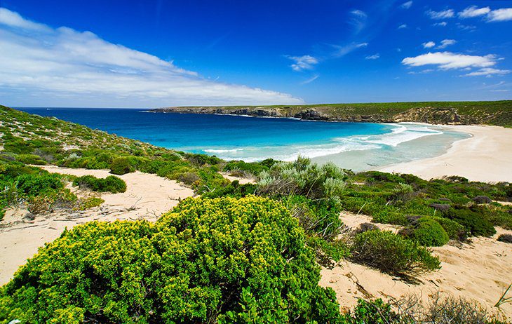 12 Top-Rated Attractions & Things to Do on Kangaroo Island