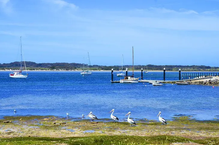 12 Top-Rated Attractions & Things to Do on Kangaroo Island