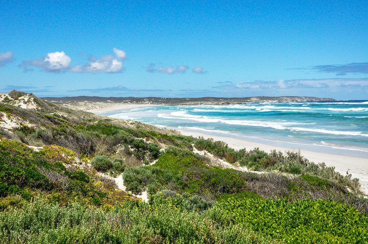 12 Top-Rated Attractions & Things to Do on Kangaroo Island