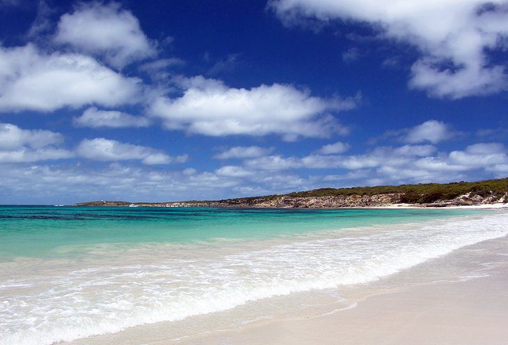 12 Top-Rated Attractions & Things to Do on Kangaroo Island