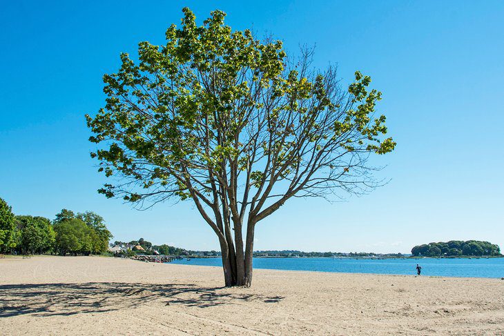 12 Top-Rated Beaches in Connecticut