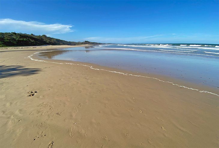 12 Top-Rated Beaches in Port Macquarie, NSW