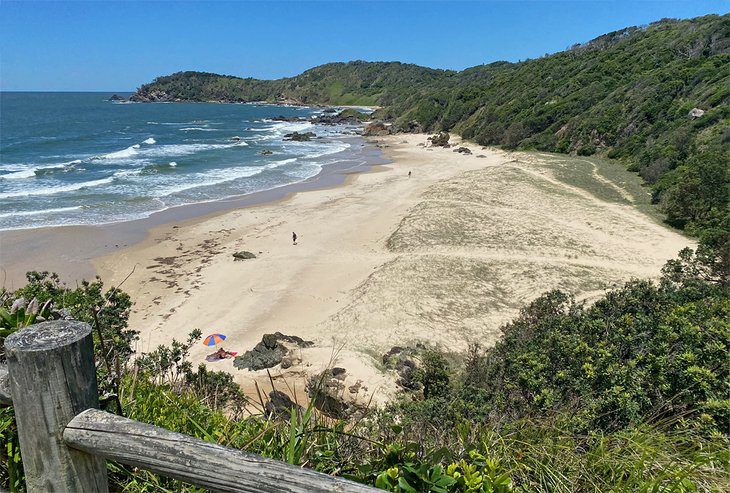 12 Top-Rated Beaches in Port Macquarie, NSW