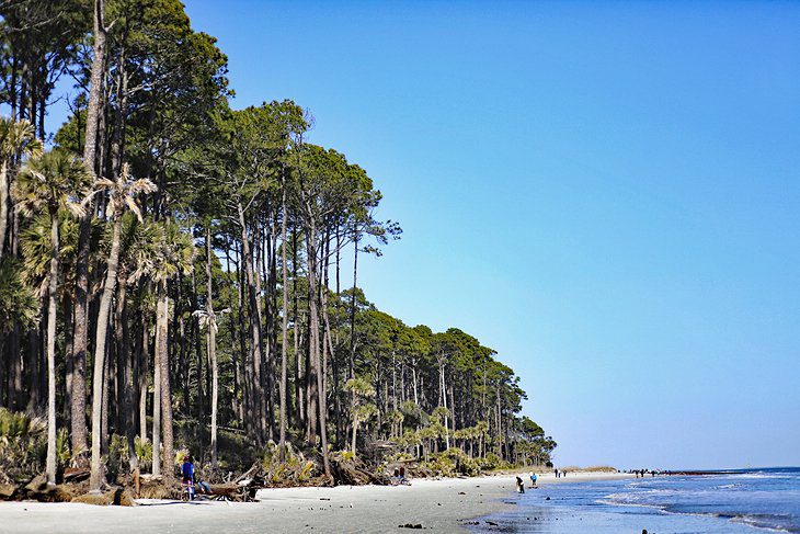 12 Top-Rated Beaches in South Carolina