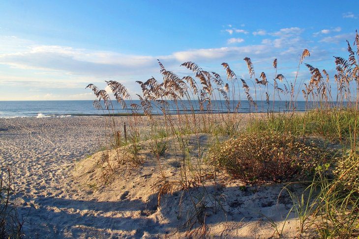 12 Top-Rated Beaches in South Carolina