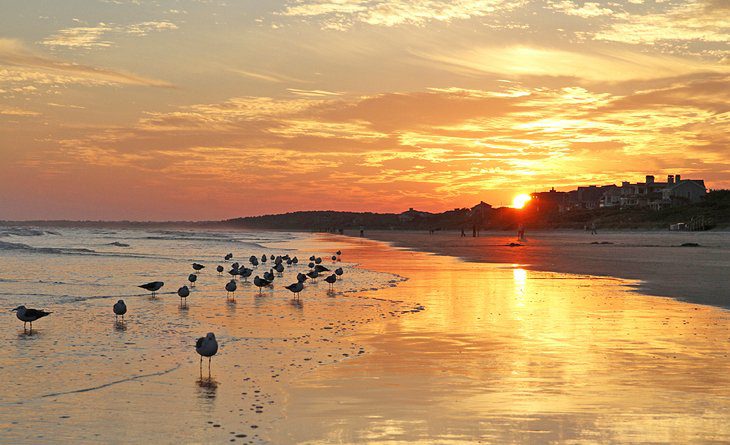 12 Top-Rated Beaches in South Carolina