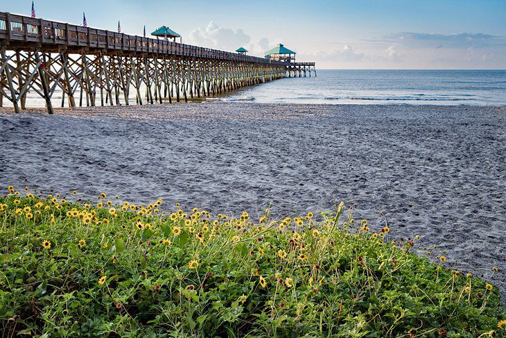 12 Top-Rated Beaches in South Carolina